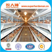 Low Cost High Quality Battery Layer Chicken Cage